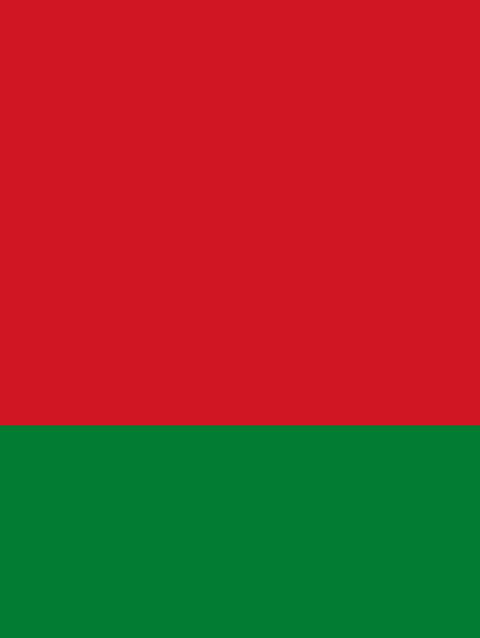 Belarus 500MB 1 Days