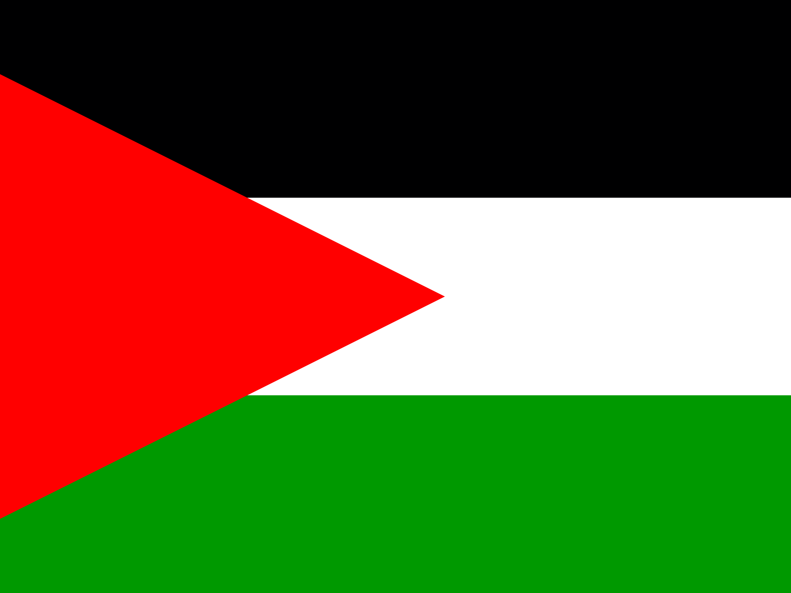 Palestine 5GB 15 Days