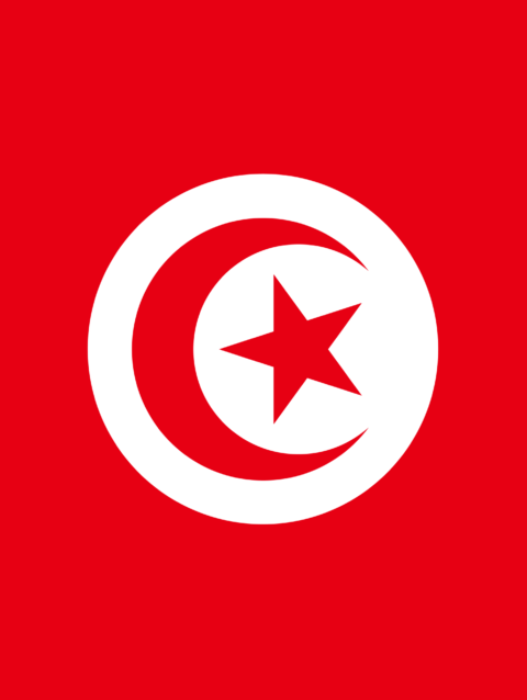 Tunisia 20GB 30 Days